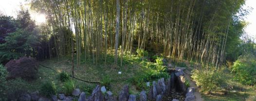 10272494_10152108868560662_6657467535900004345_o