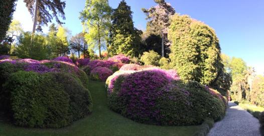 10275978_10152108866990662_7924202205894415980_n