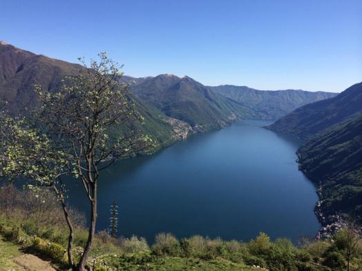 10312005_10152108856015662_8327047963765080833_n