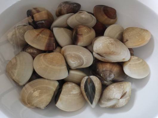 10313760_10152382775374494_4904191956997481621_n