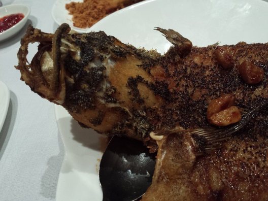 10314680_10152378985109494_3870633068523049723_n