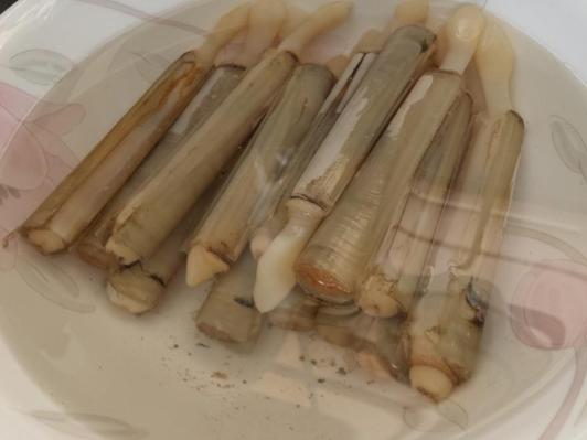 10330506_10152382775349494_4010066414812128438_n