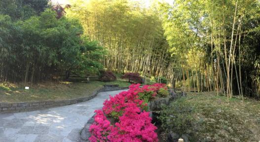 10337735_10152108868495662_2238948768130161430_n