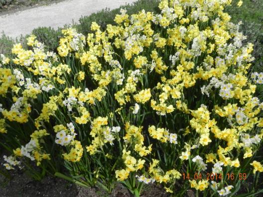 1116126_10152324156019494_2387449843793534145_o