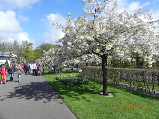 1277752_10152324157789494_6230438069410845159_o