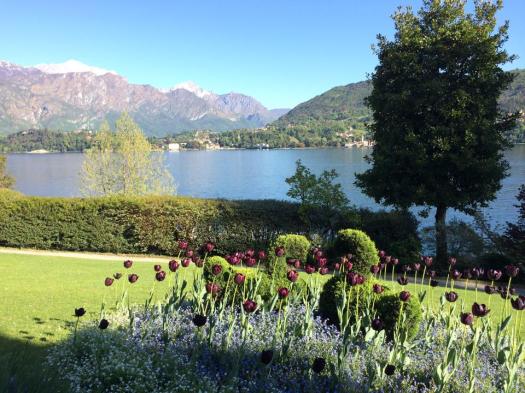 1461690_10152108867470662_3332654144101726187_n