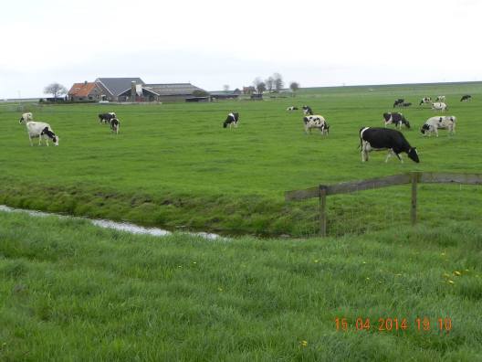 1504372_10152325889479494_2926390386678246269_o