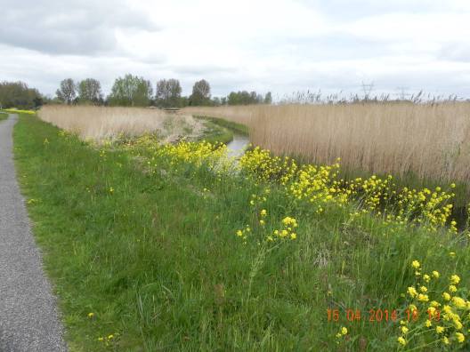 1504444_10152325888744494_5374853007806246593_o