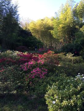 1506640_10152108868460662_987148612611605718_n