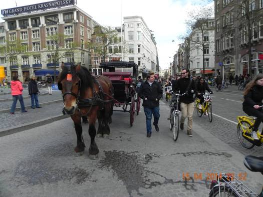 1507264_10152325892694494_4208903154135087850_o