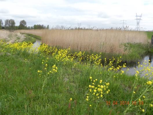 1524294_10152325888729494_378557192521103466_o