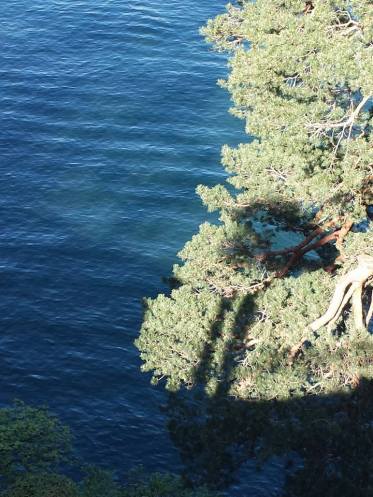 1549527_10152329589864494_6622845854026538242_n