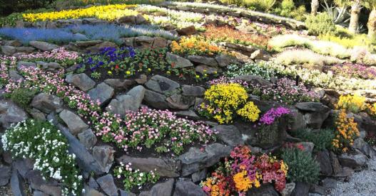 1782045_10152108867565662_5059156599991270990_n