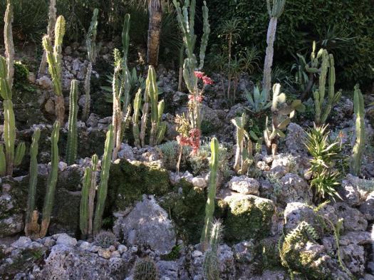 1797467_10152108867755662_2971747864023652042_n