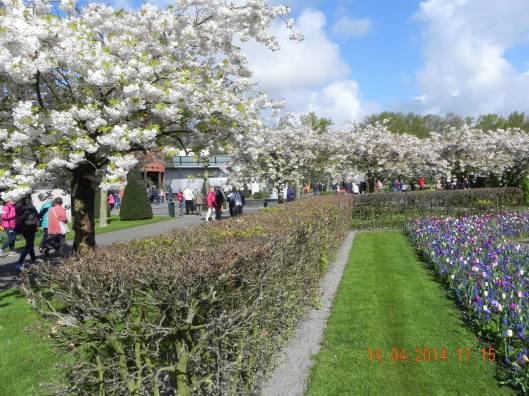 1801140_10152324157774494_7266530276112006582_o