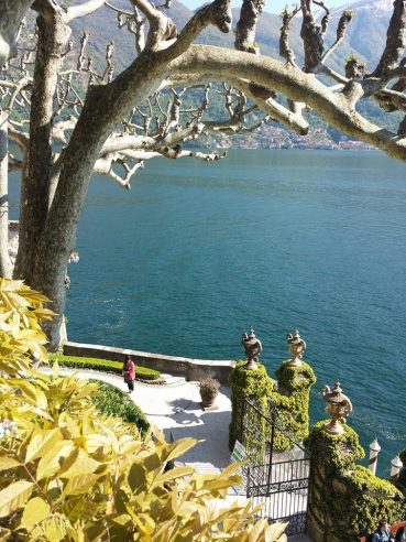 1911883_10152329575269494_53778513723608804_n