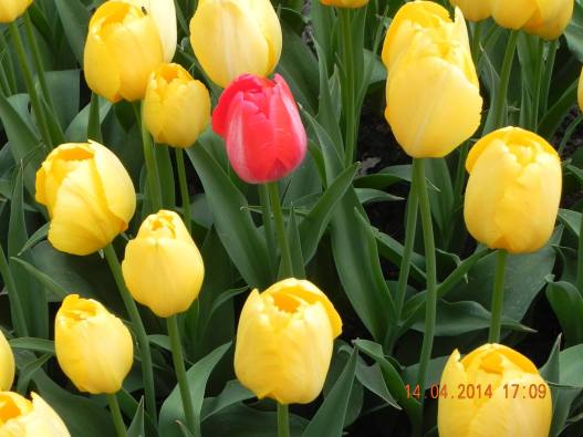 1973400_10152324157174494_712403490240528705_o