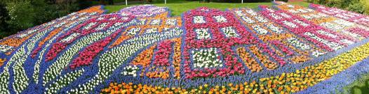 1973781_10152324208129494_4626466393959763582_o