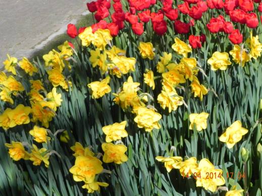 1973952_10152324156379494_3657093105507262807_o