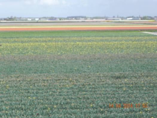 1979290_10152324161264494_4694955522168463893_o