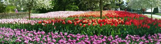 1980081_10152324208059494_6344168547851811484_o