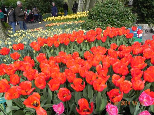 739980_10152324155124494_136405312973249447_o