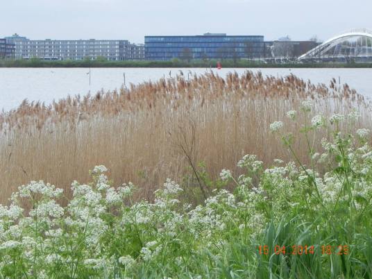 856875_10152325889119494_4911288362193438562_o