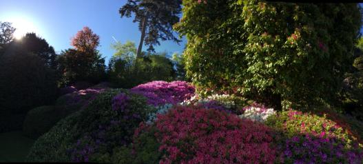 885874_10152108867075662_1391912608281053865_o