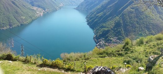 902021_10152327730654494_6240034584639060692_o