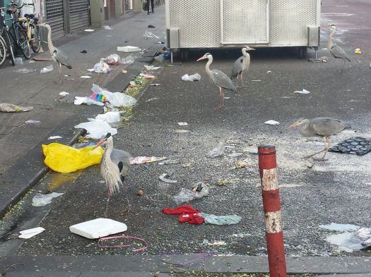 984046_10152323518404494_3481802143555449988_n