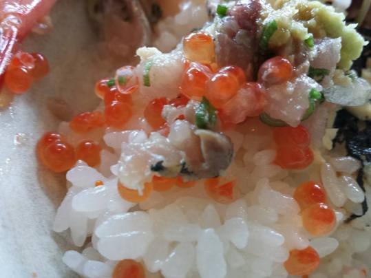 1908019_10152447977099494_4513803690446848524_n