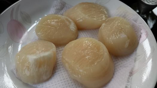 large & plump hokkaido scallops