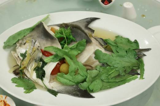 teochew steamed pomfret
