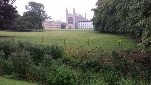 king's college (view from the backs)