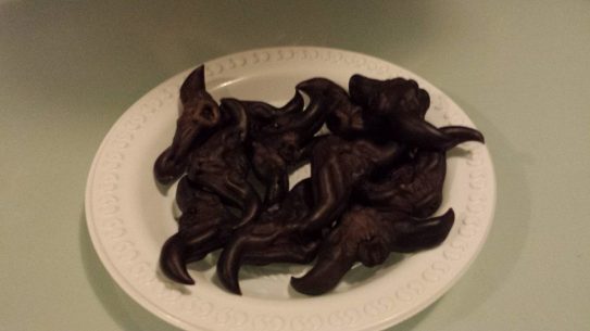 10600613_10152667975959494_5799394352320697121_n