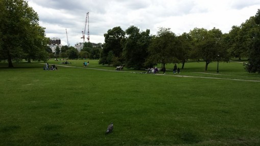 10628021_10152632091059494_5365327509050537715_n