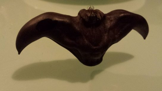 10629726_10152667976039494_7122411487840556102_n