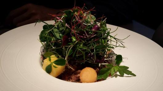 #1 crispy duck salad - pulled duck with crispy skin, melon, dragon fruits & salad