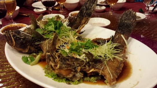 deep-fried soon hock