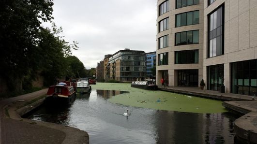 10986_10152626660889494_1903041656635708592_n