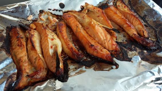 miso salmon belly