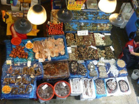 noryangjin fisheries wholesale market