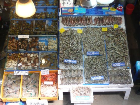 noryangjin fisheries wholesale market