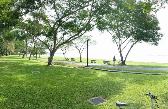 10402761_10152835863024494_7486745453540882211_n