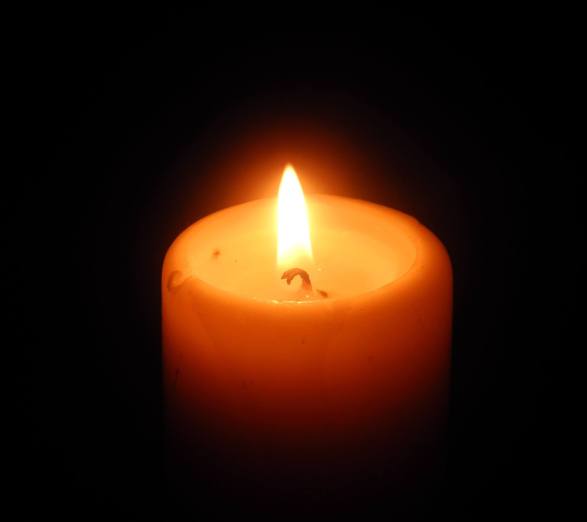 10608386_868635873169759_3930559370612323618_o