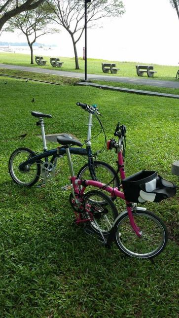 10704172_10152835862874494_8808094798795163290_n