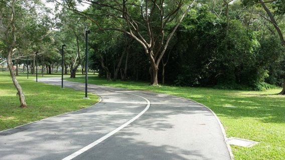 1452326_10152835862919494_8435370596337737564_n