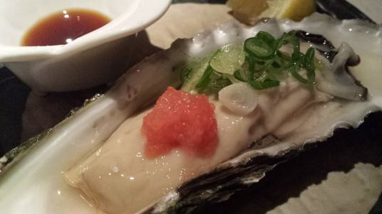 #6 very large (3in), firm & tasty oyster