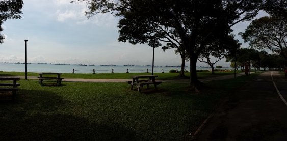 1669923_10152835862969494_4489019953487081649_o