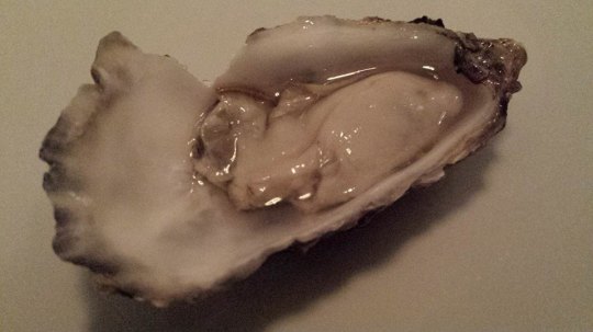 nice oyster